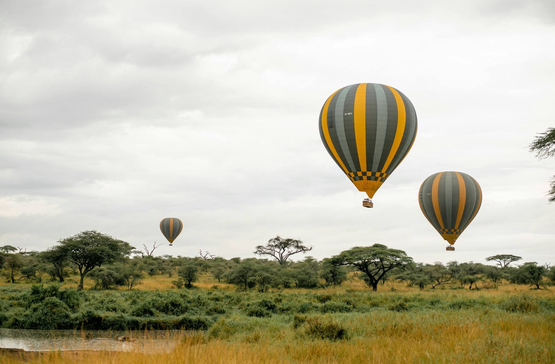 Hot air balloon floating over the Serengeti