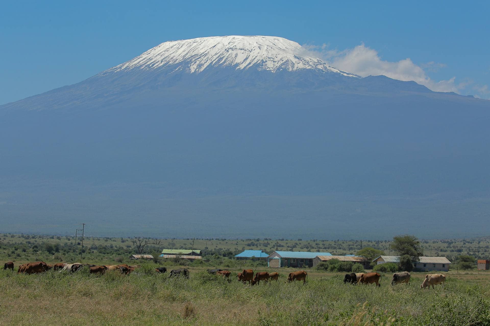 Lush Chagga farmland on the slopes of Kilimanjaro
