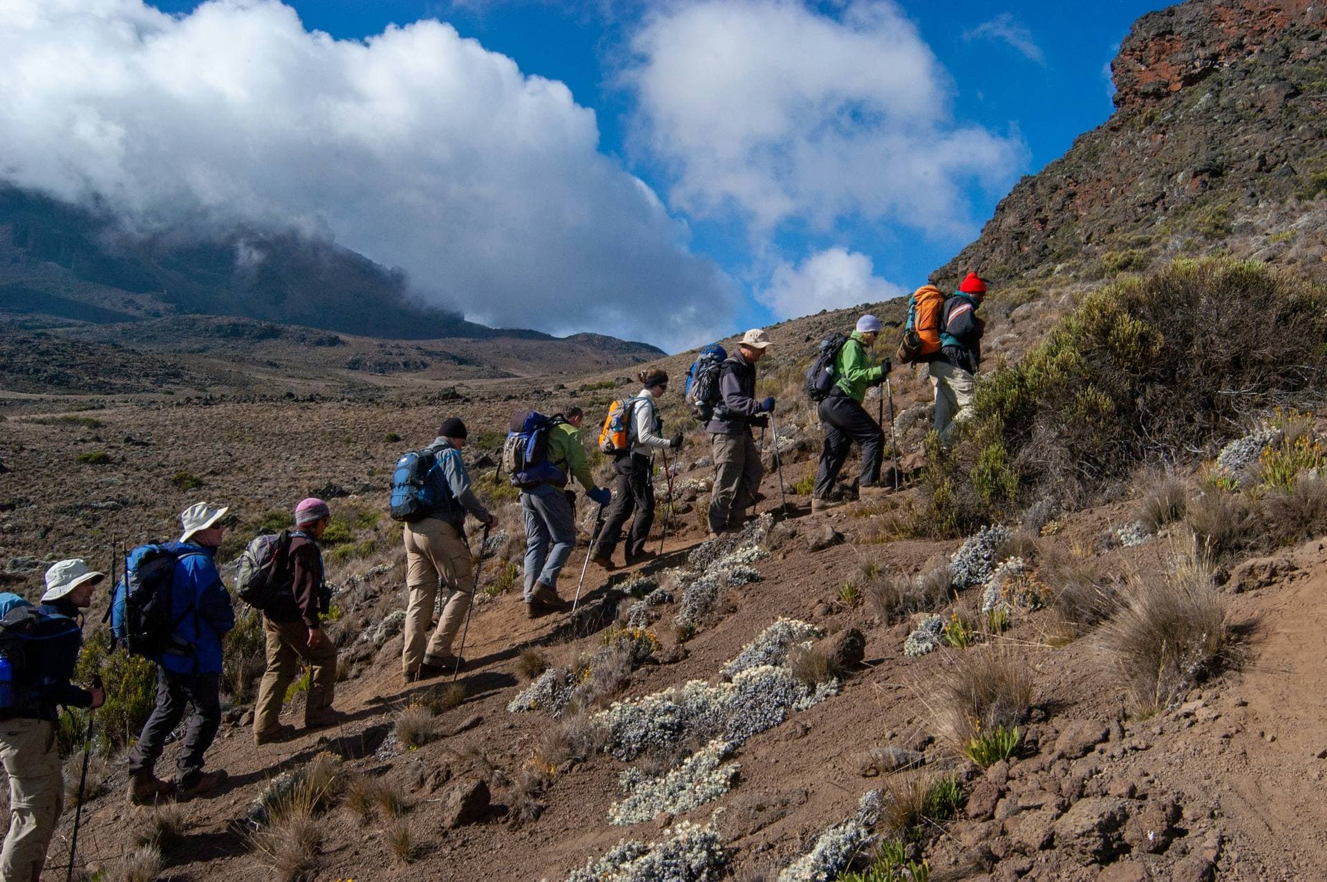 Trekkers hiking in Tanzania