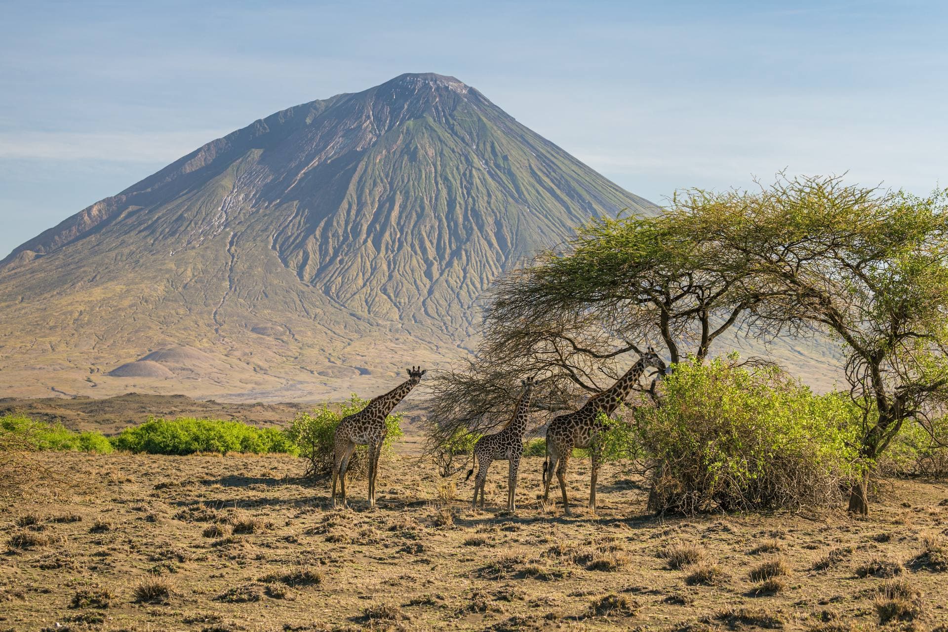Lake Natron & Ol Doinyo Lengai