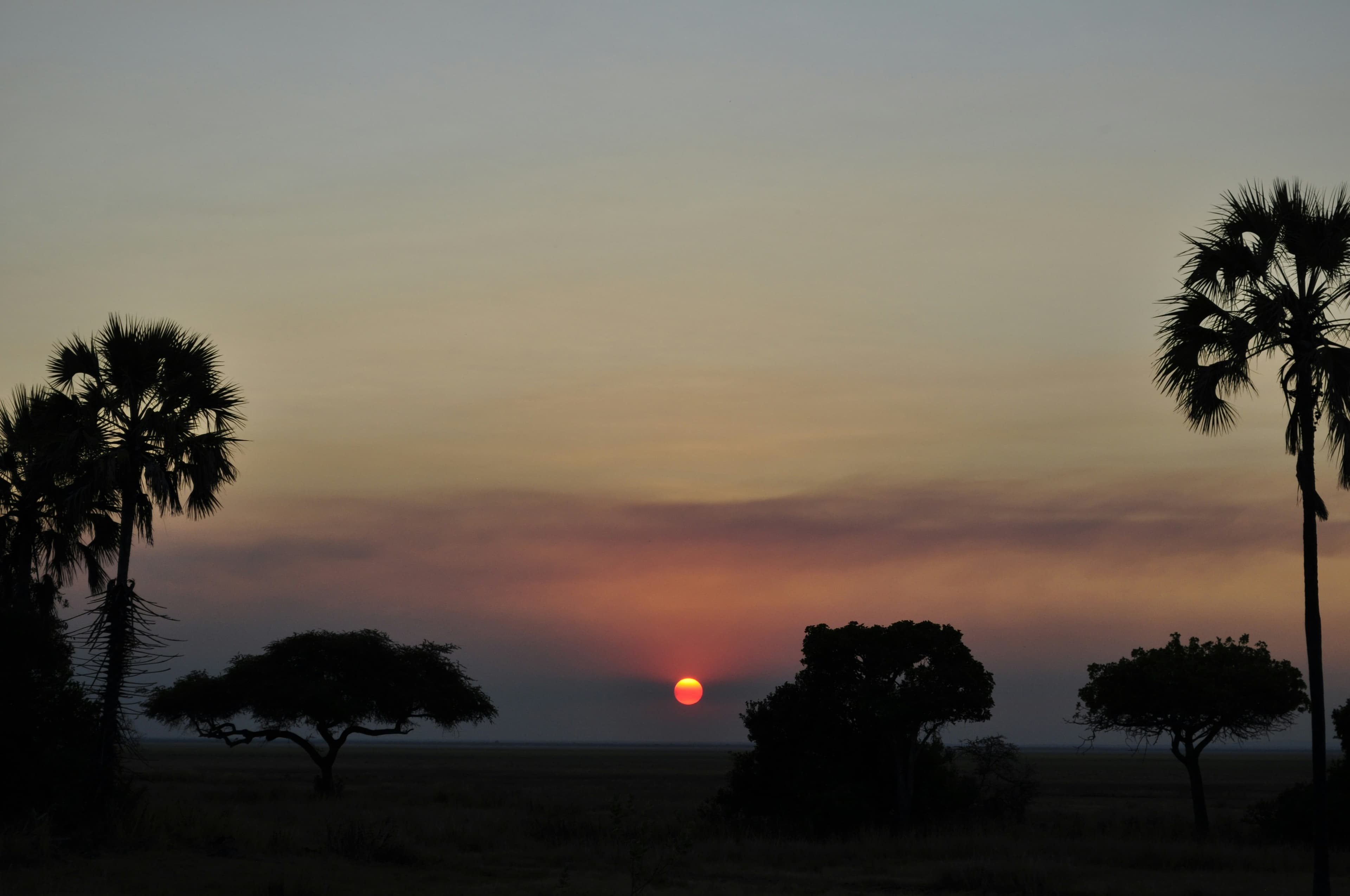 Spotlights scanning for wildlife during a night game drive