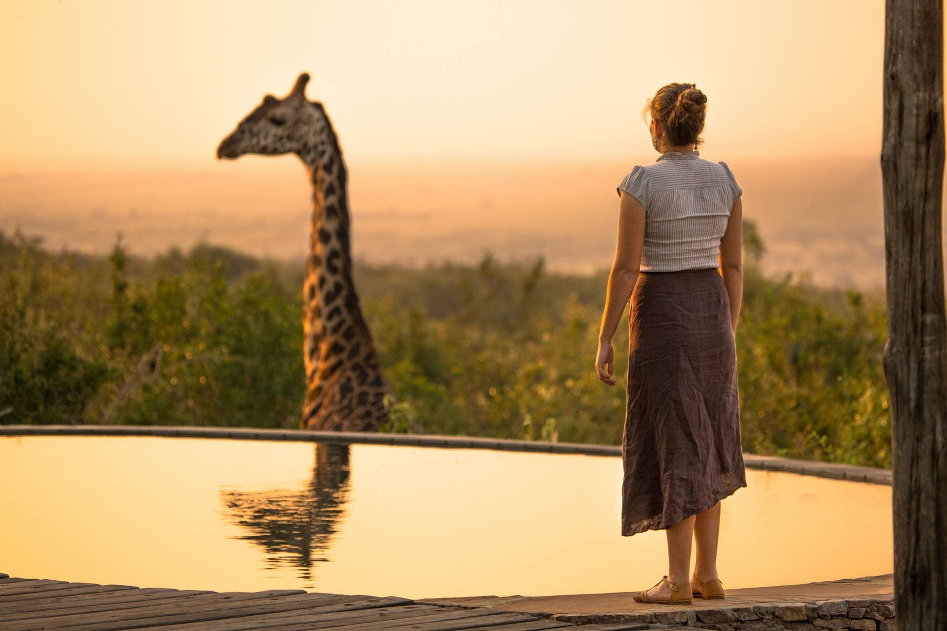 Guest watching giraffes in Tanzania