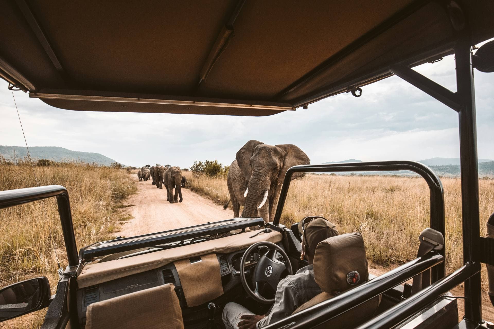 Private safari vehicle on the Serengeti