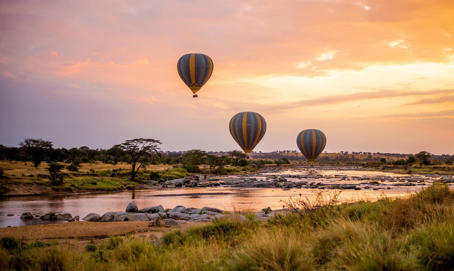 Hot-air balloon over the savannah at dawn