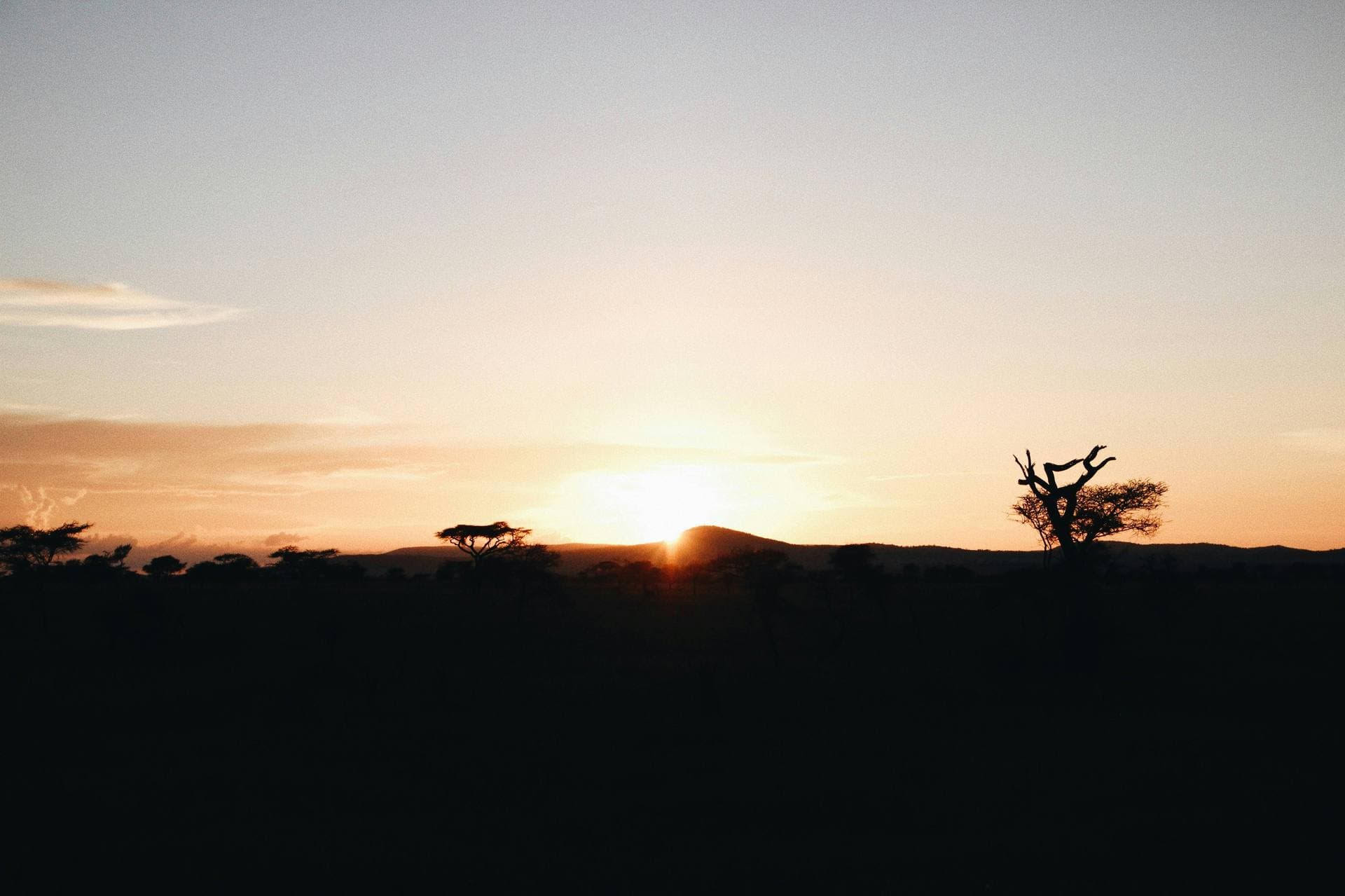 Camping safari tents at sunset