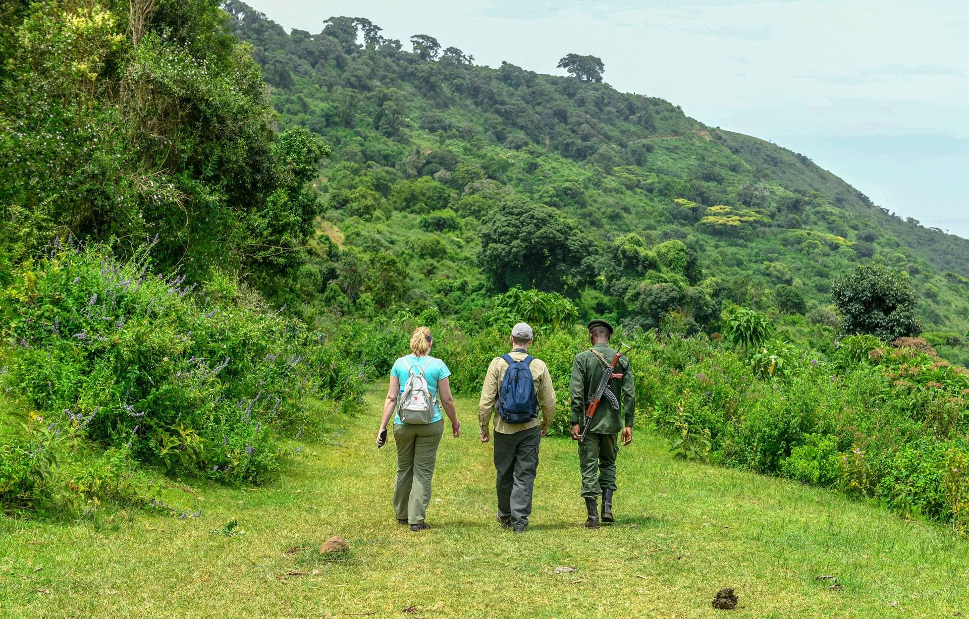 Guide leading a walking safari
