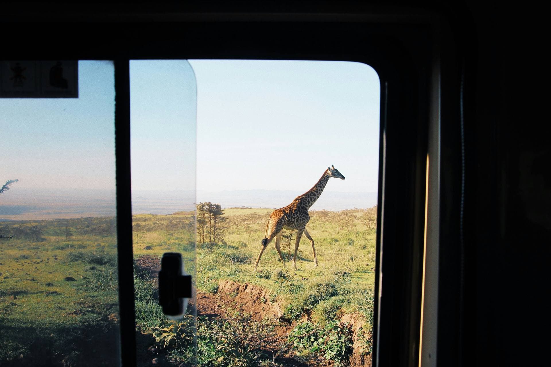 Guests photographing a giraffe from a private safari vehicle