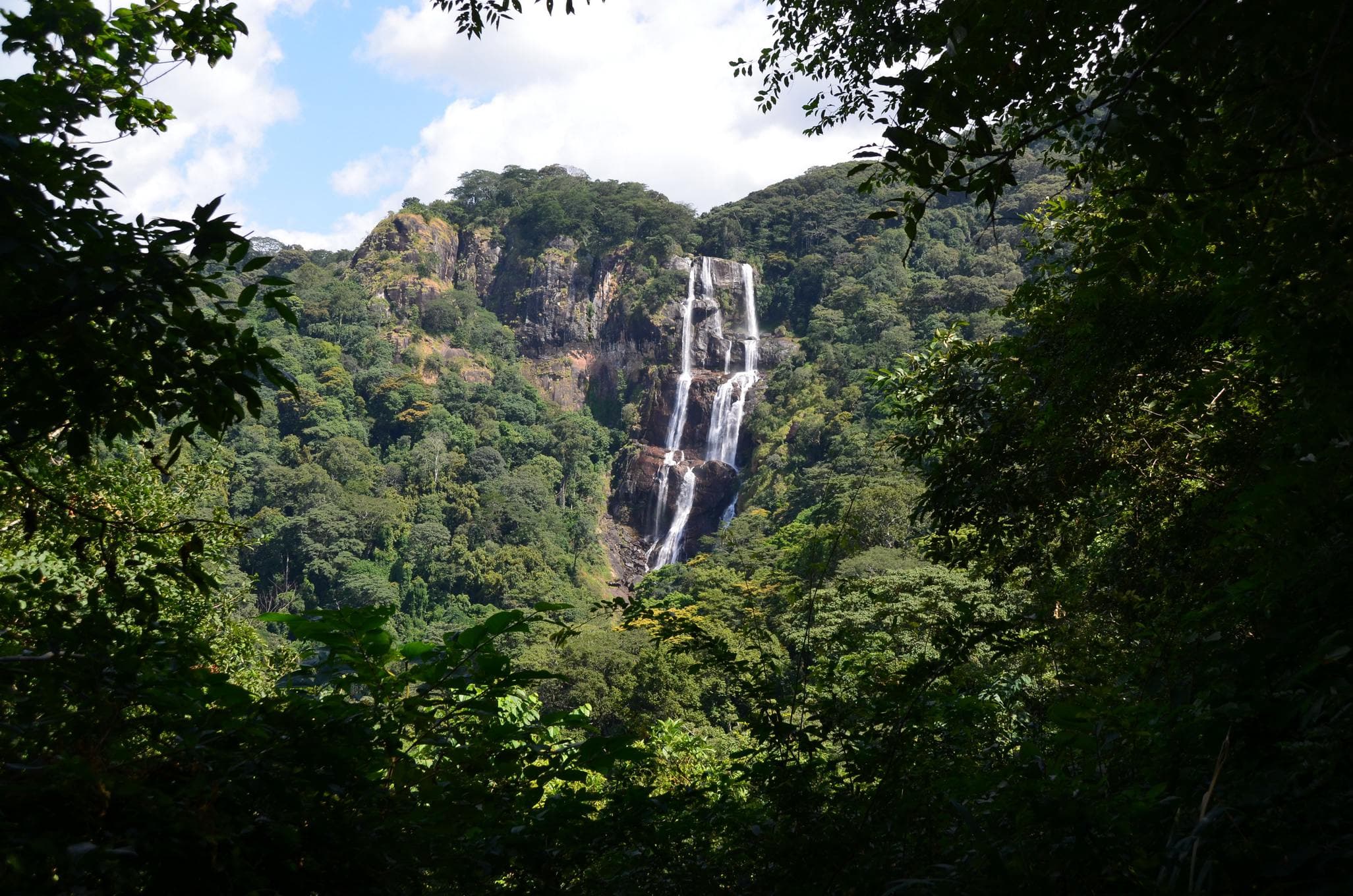 Udzungwa Mountains National Park