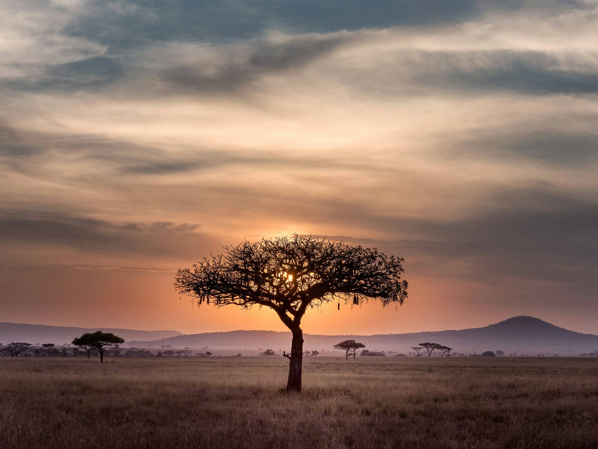 A dramatic sunset over the Tanzanian savannah
