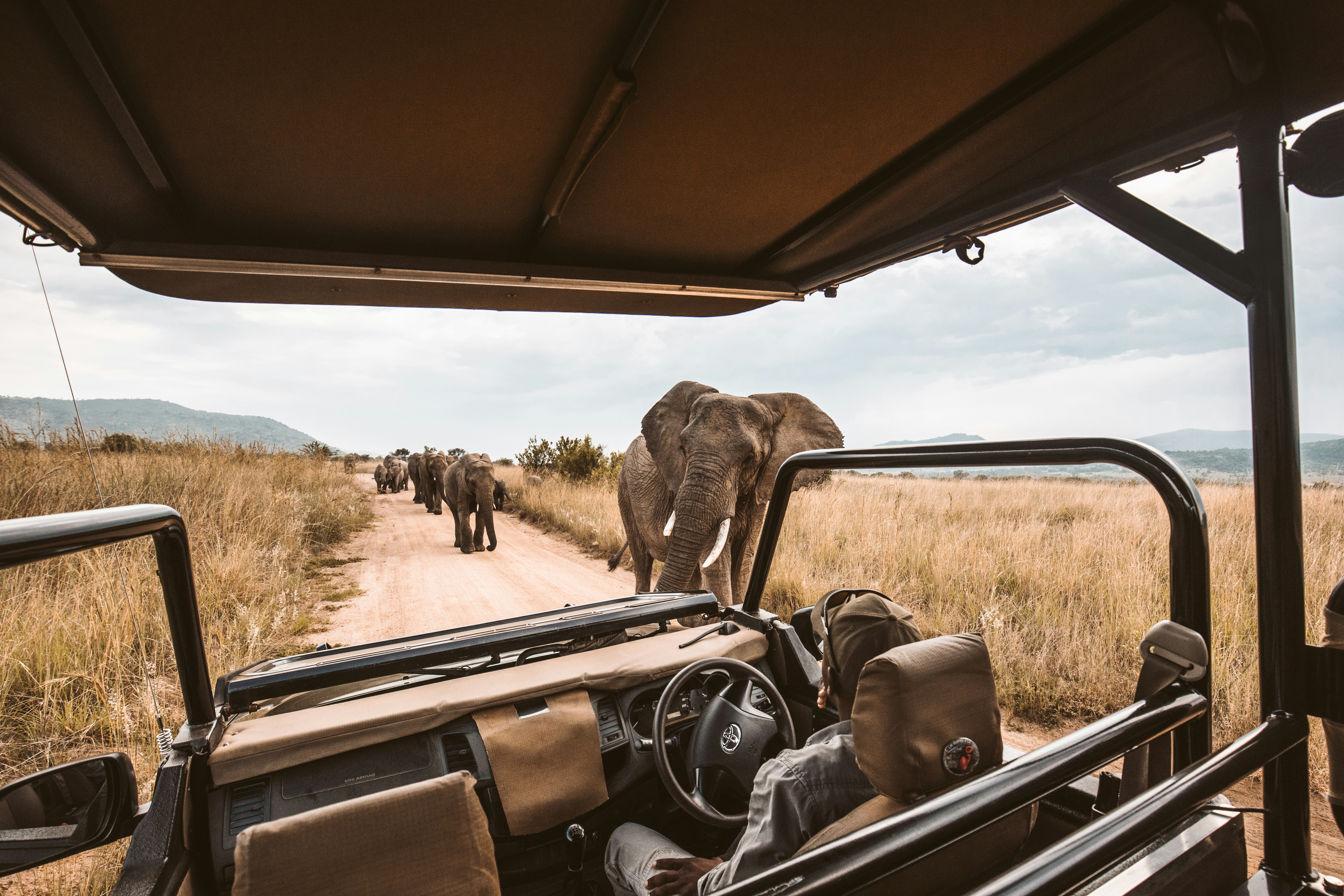 Private Safaris in Tanzania