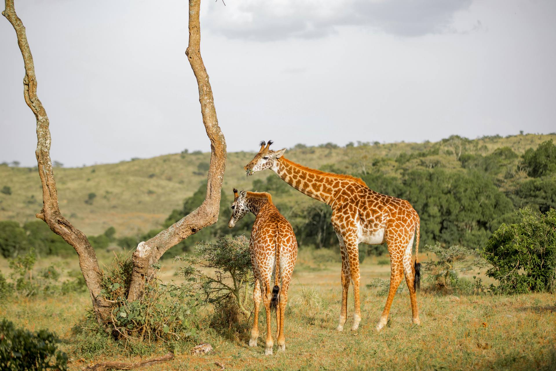 Arusha National Park